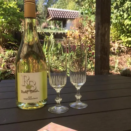 Kleine Winzerin Vakantiehuis Boppard
